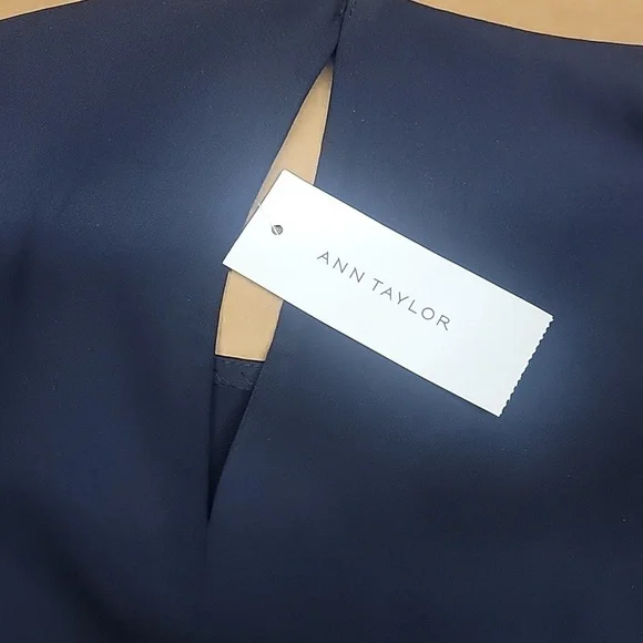 Ann Taylor Chiffon Bubble Sleeve Midi Casual Cocktail Blue Dress New With Tags! - Picture 5 of 5